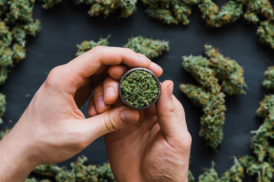 Ultimate Cannabis Buyer’s Guide for Residents of British Columbia
